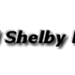 Carrol Shelby Enterprises